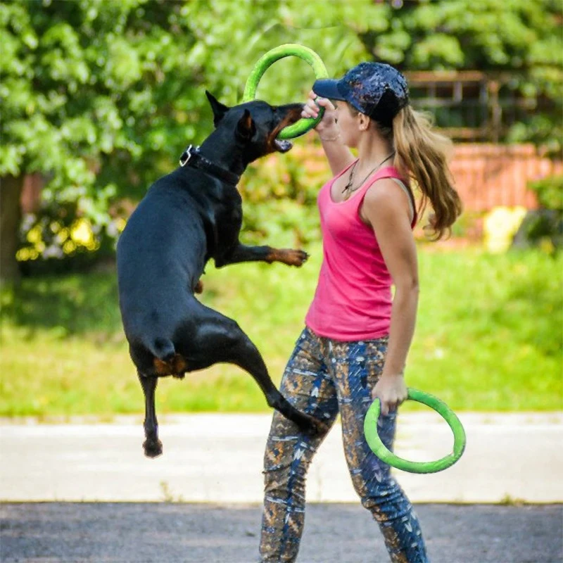 Discos voladores para perro, a - Indestructible Dog Chew Toy reseña y precio