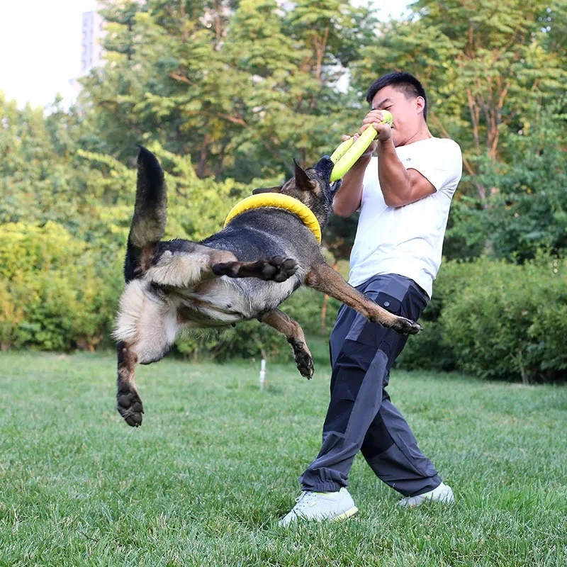 Discos voladores para perro, a - Indestructible Dog Chew Toy reseña y precio