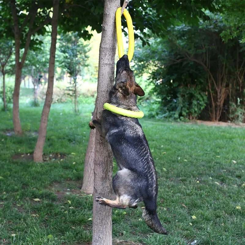 Discos voladores para perro, a - Indestructible Dog Chew Toy reseña y precio