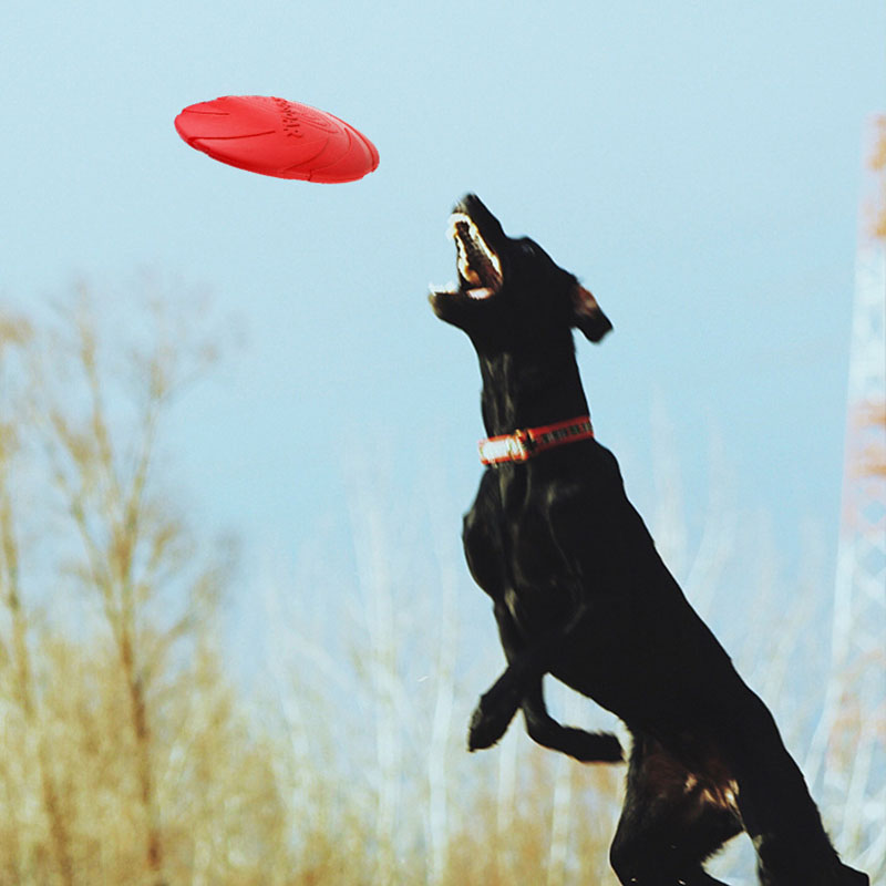 Discos voladores de goma para  - Flying Disc Dog Training Toy reseña y precio