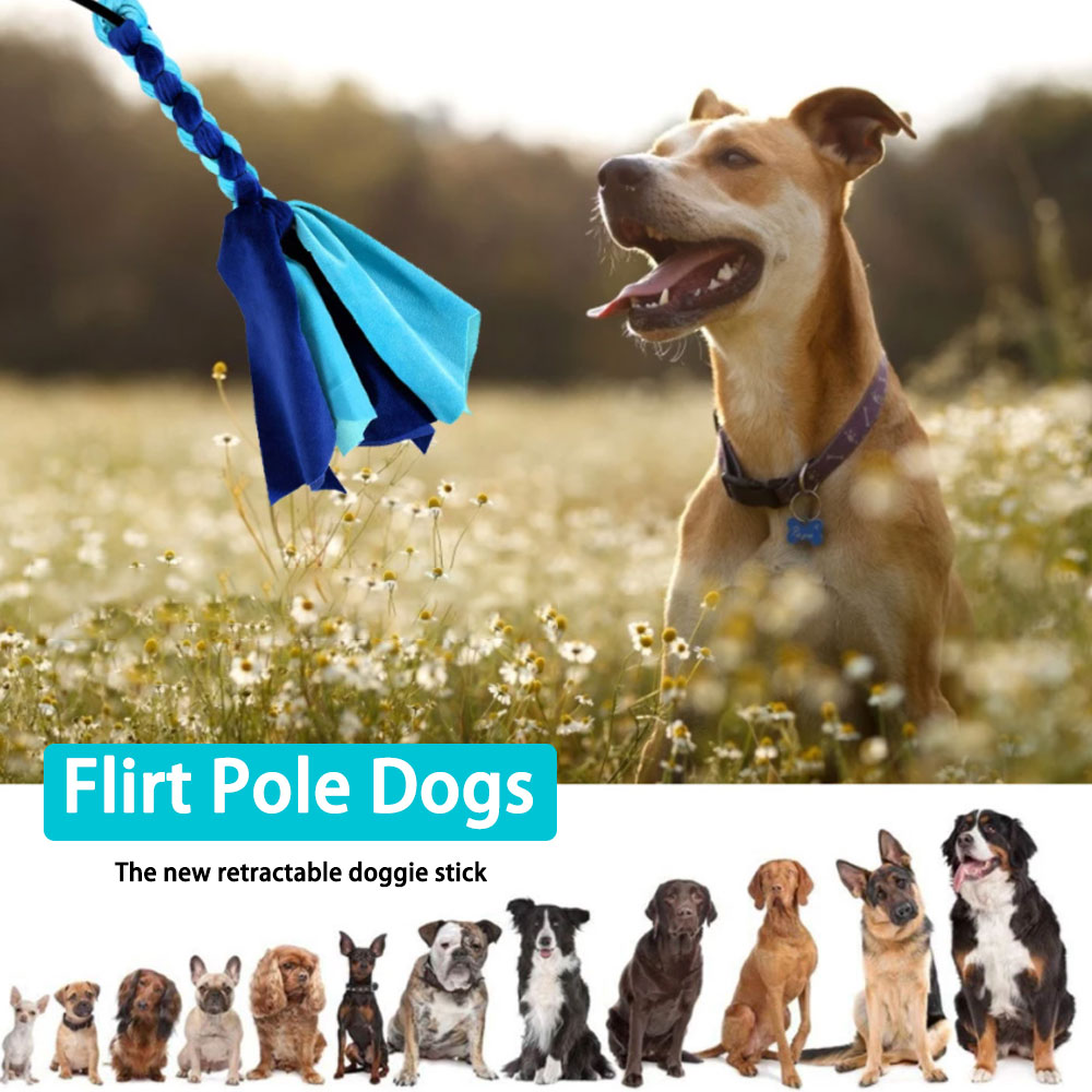 Palo retráctil para perro, jug - Interactive Squeaky Plush Dog Toy reseña y precio