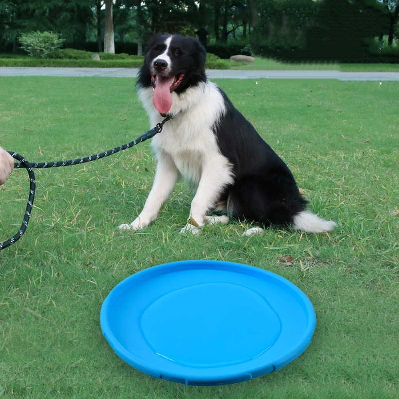 Platillo volador de silicona i - Flying Disc Dog Training Toy reseña y precio
