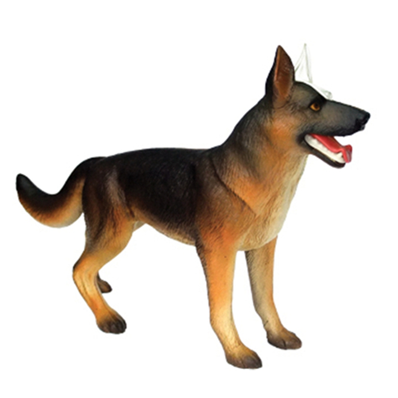 Modelo de Anatomía de Órganos  - Dog Toys reseña y precio