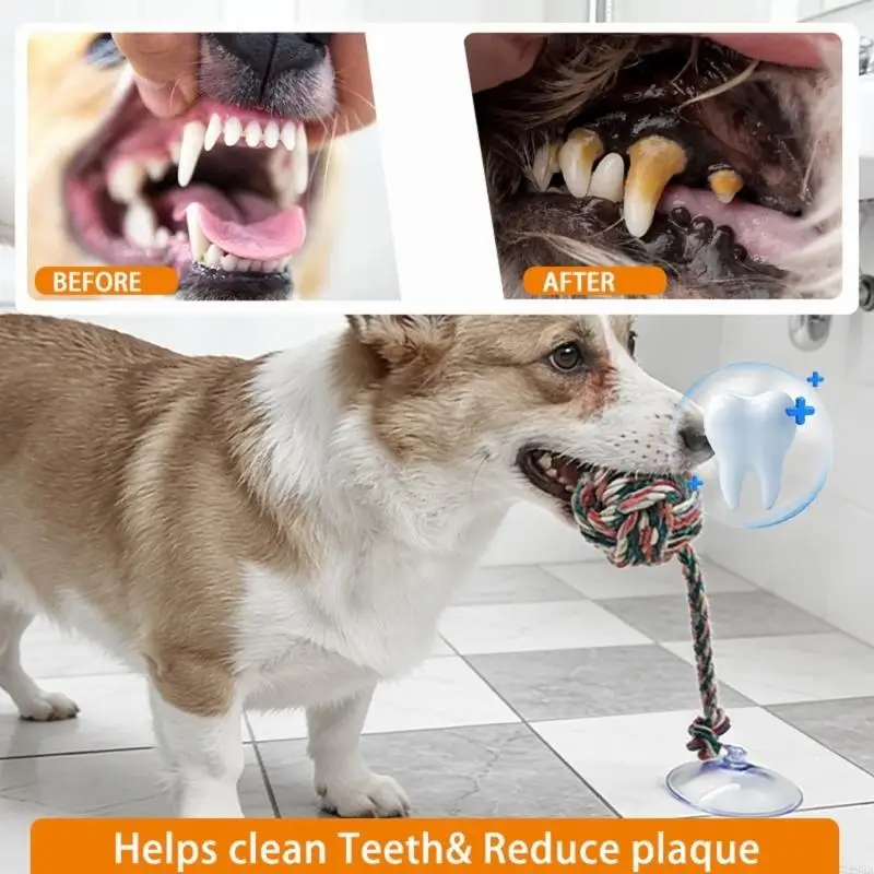 Juguete divertido y seguro par - Suction Cup Dog Tug Toy reseña y precio