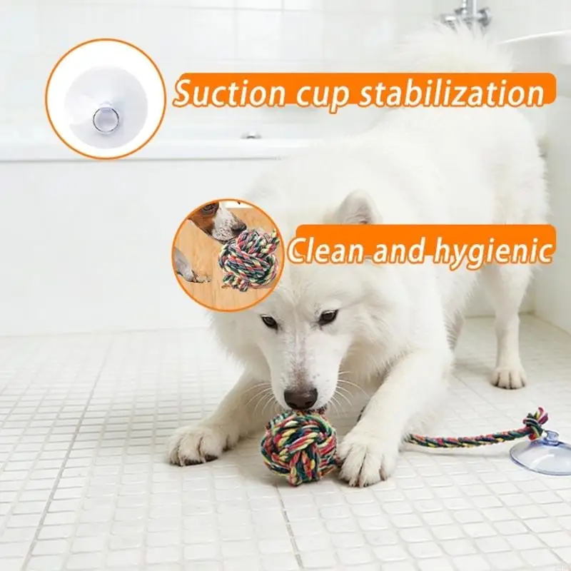 Juguete divertido y seguro par - Suction Cup Dog Tug Toy reseña y precio