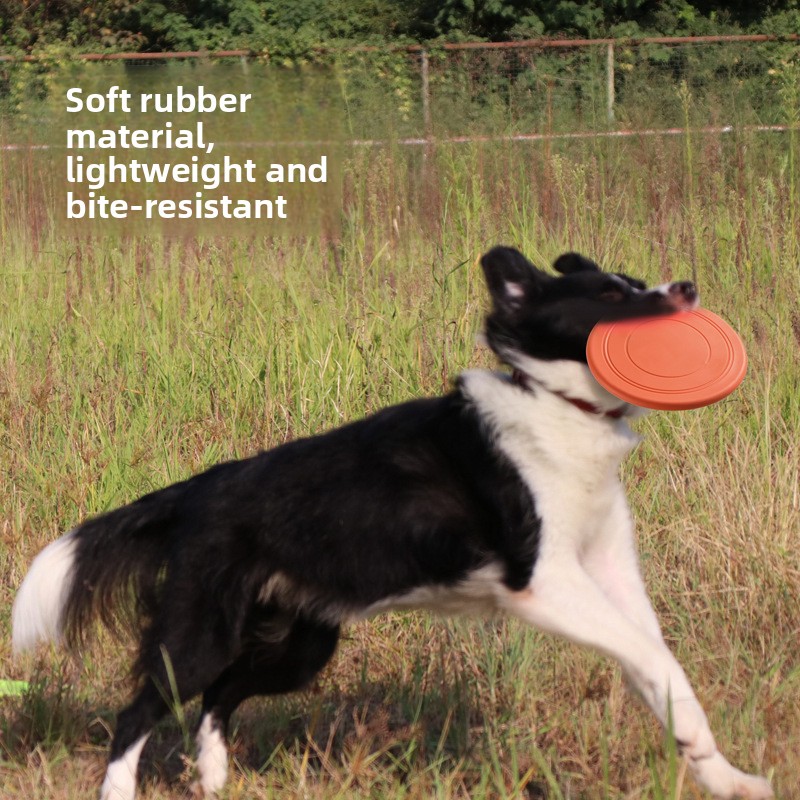Disco Volador Resistente a Mor - Flying Disc Dog Training Toy reseña y precio