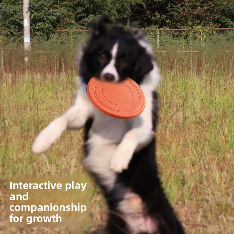 Disco Volador Resistente a Mor - Flying Disc Dog Training Toy reseña y precio