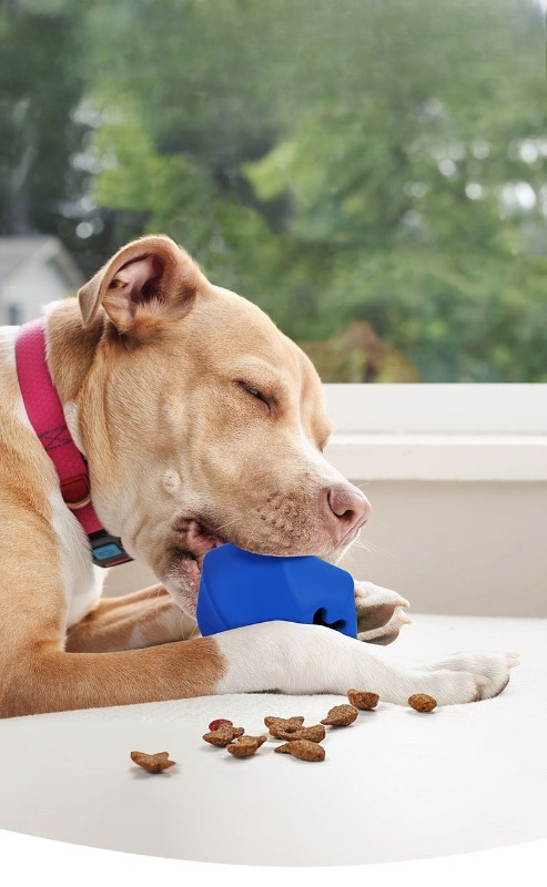 Juguete Dispensador de Golosin - Rubber Treat Dispensing Dog Toy reseña y precio