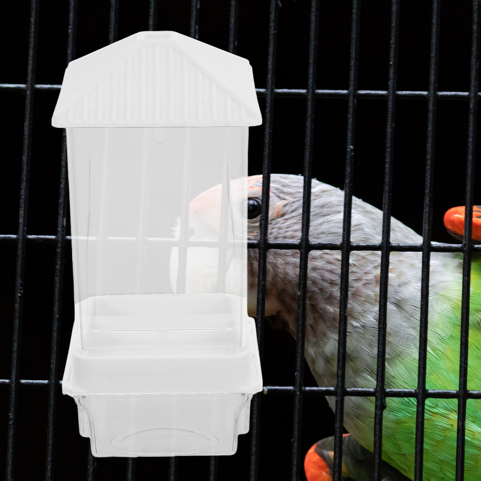 Comedero Automático para Pájar - Pet Feeders reseña y precio