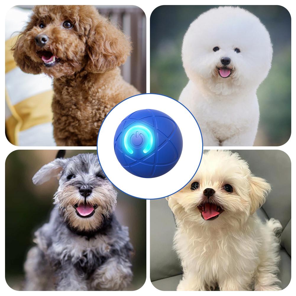 Juguete interactivo electrónic - Automatic Moving Dog Ball reseña y precio