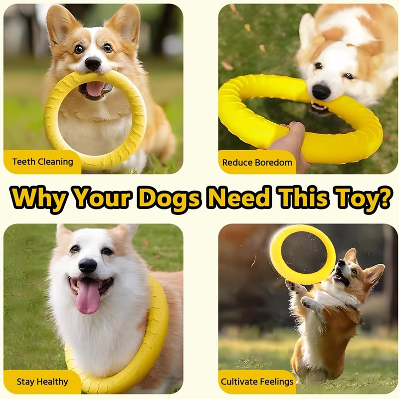 Juguetes para perros, discos v - Flying Disc Dog Training Toy reseña y precio