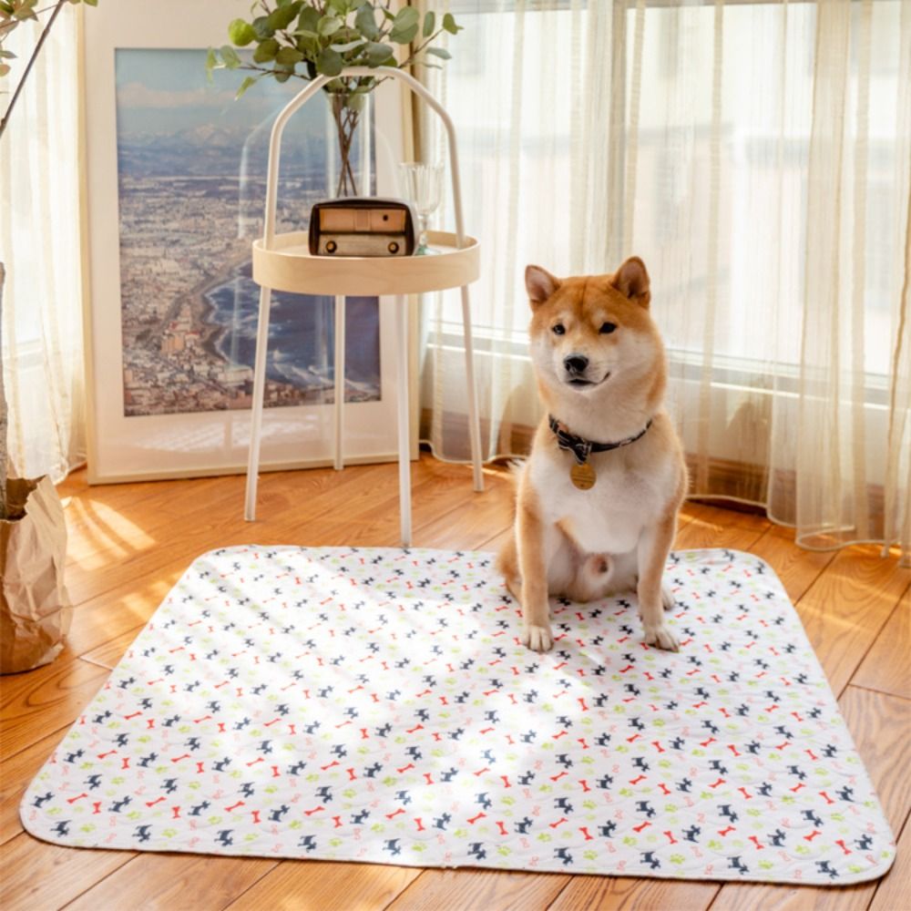 Alfombra Superabsorbente para  - Pet Beds reseña y precio