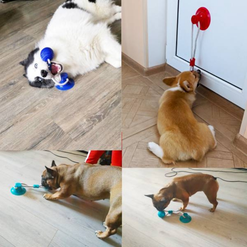 Juguete Resistente con Ventosa - Suction Cup Dog Tug Toy reseña y precio