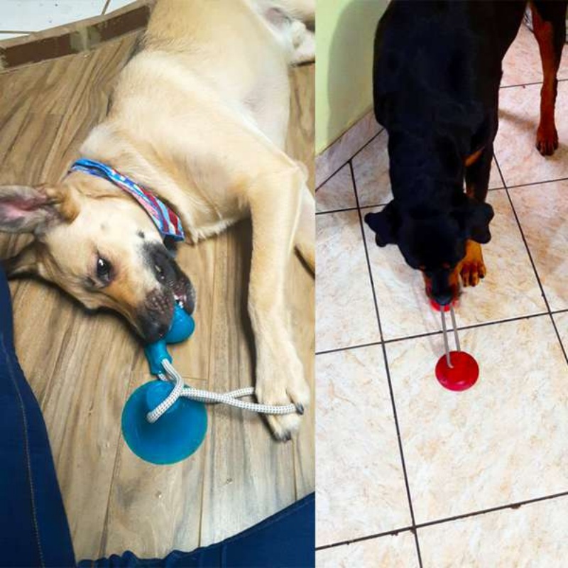 Juguete Resistente con Ventosa - Suction Cup Dog Tug Toy reseña y precio