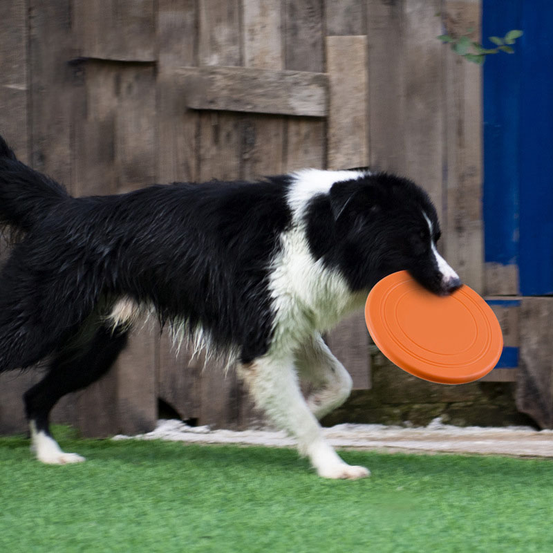 Platillo volador de silicona d - Flying Disc Dog Training Toy reseña y precio