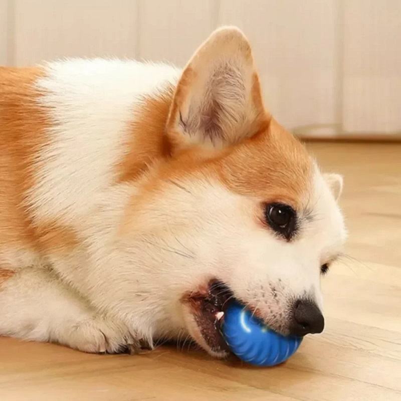 Pelota de juguete automática p - Automatic Moving Dog Ball reseña y precio
