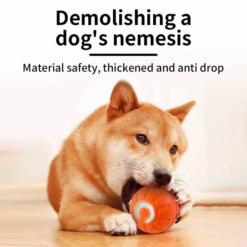 Juguete Inteligente para Perro - Automatic Moving Dog Ball reseña y precio
