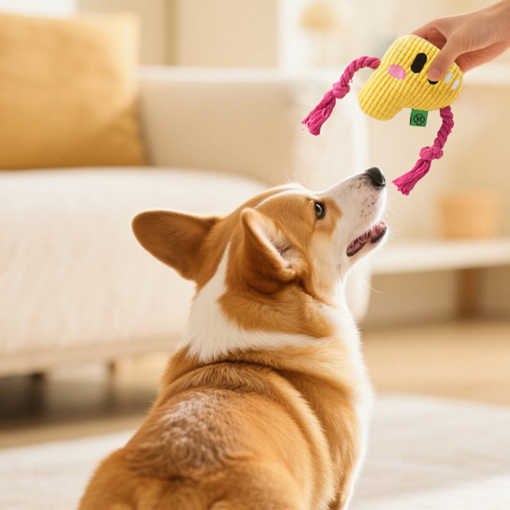 Juguete para masticar para per - Dog Rope Toy Aggressive Chewers reseña y precio