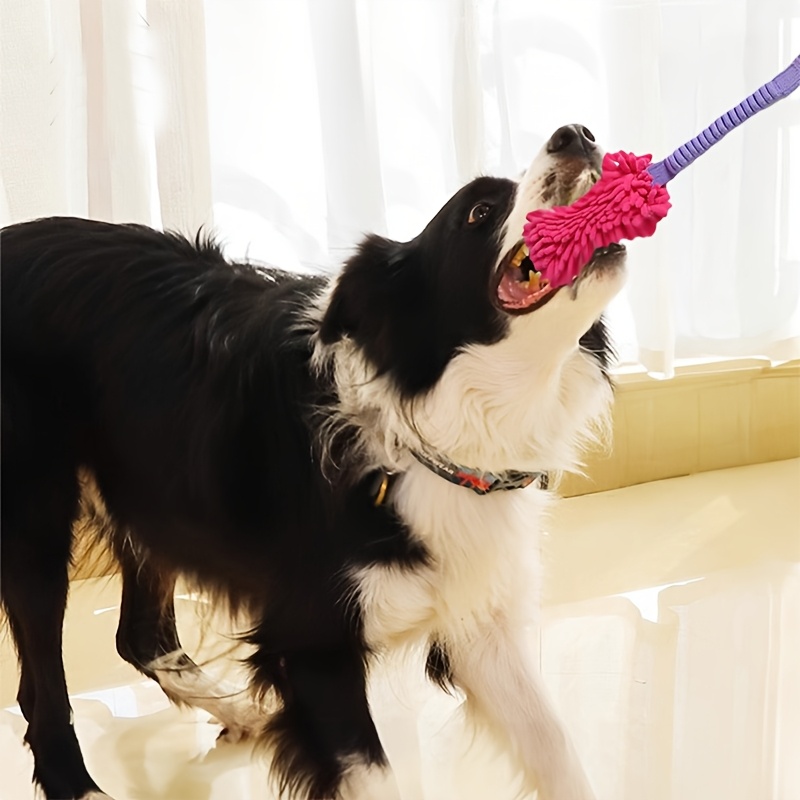 Juguetes duraderos para perros - Indestructible Dog Chew Toy reseña y precio