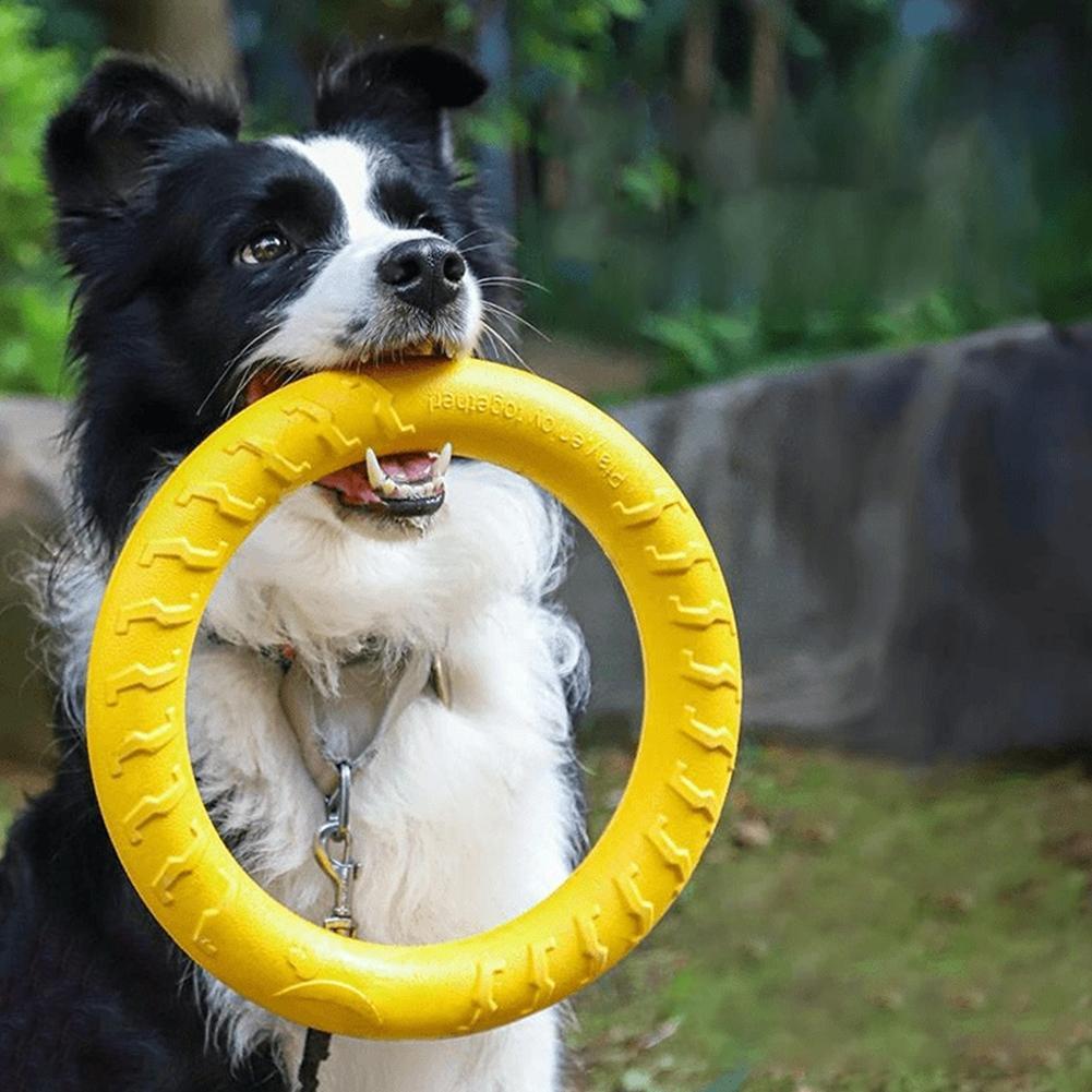 Juguetes de anillo para perros - Indestructible Dog Chew Toy reseña y precio