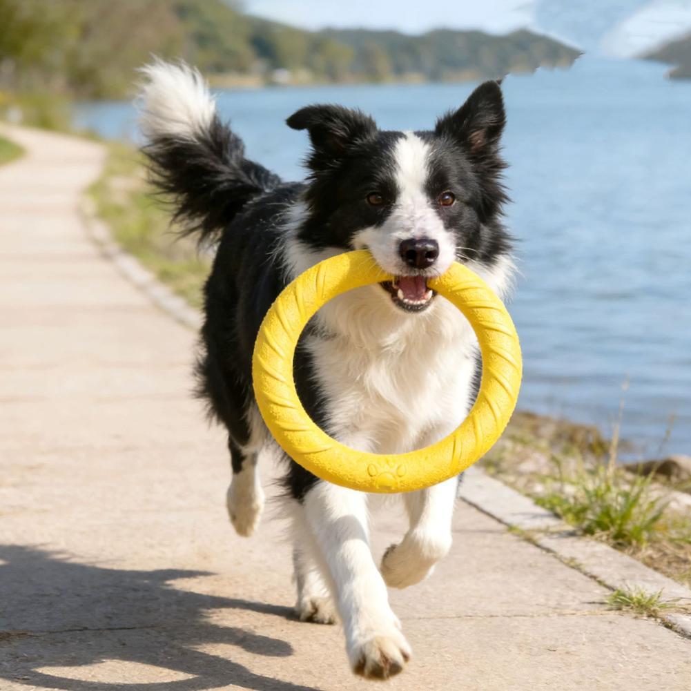 Juguetes de anillo para perros - Indestructible Dog Chew Toy reseña y precio