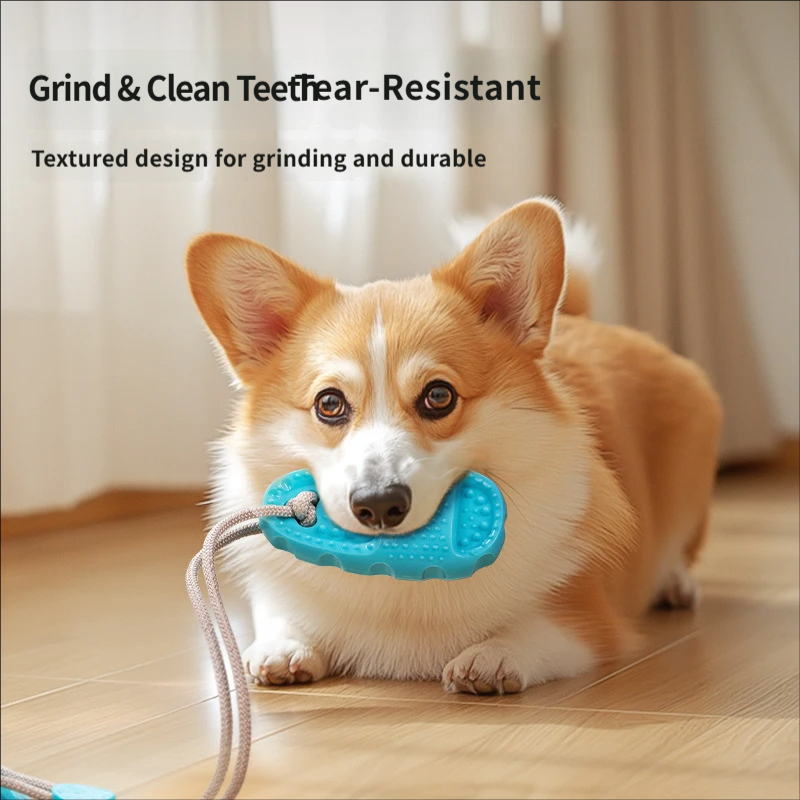 Juguete de arrastre para perro - Suction Cup Dog Tug Toy reseña y precio