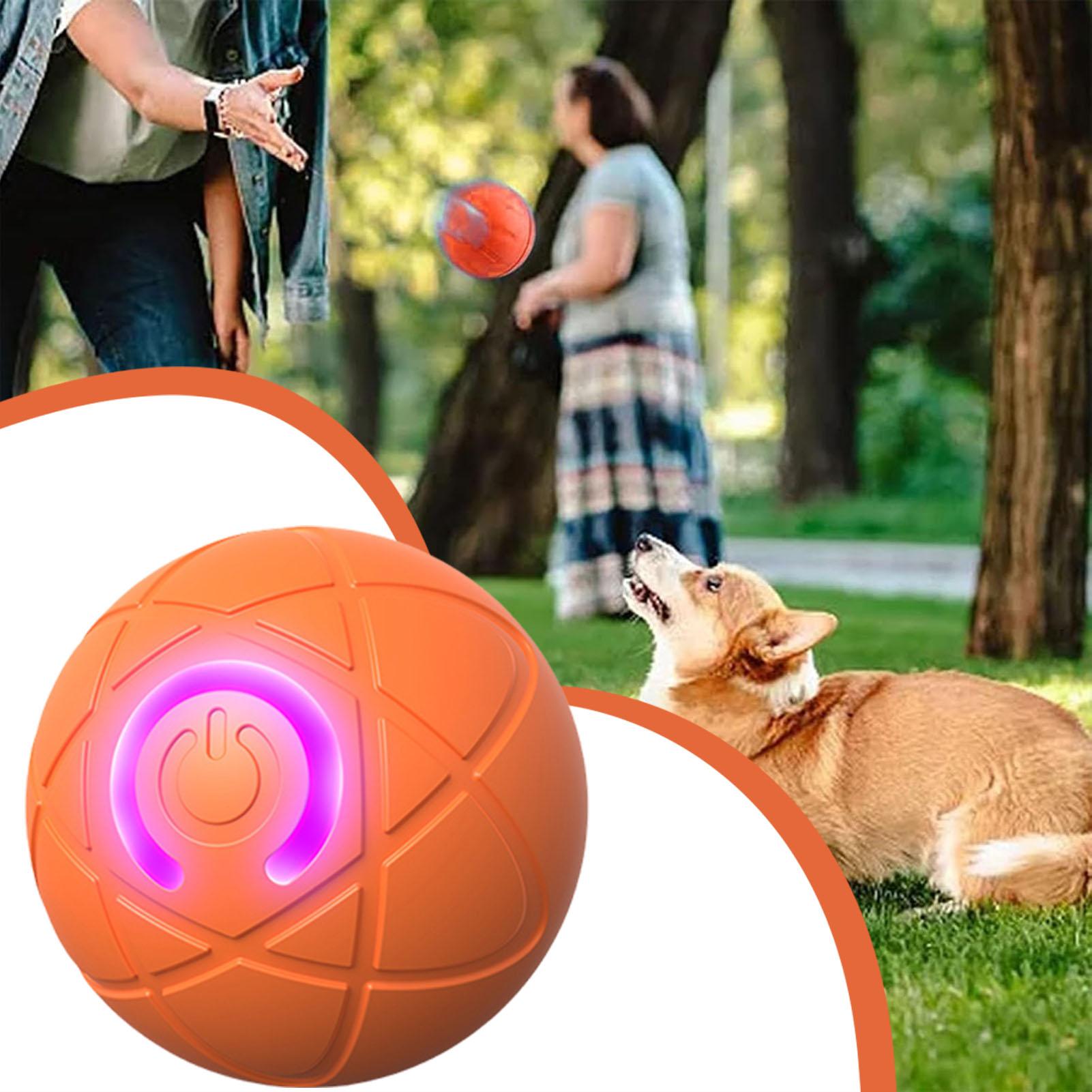 Pelota de juguete para perros, - Automatic Moving Dog Ball reseña y precio