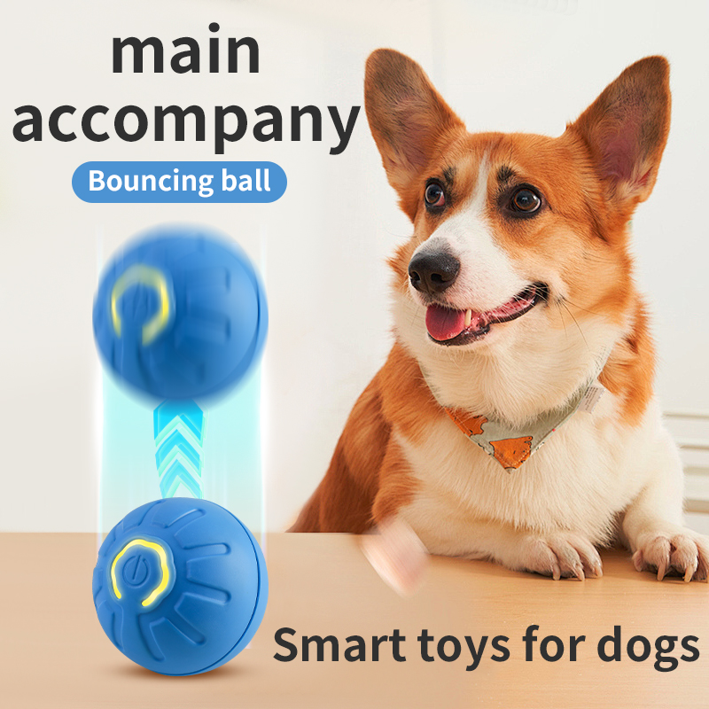 Pelota de juguete para perros  - Automatic Moving Dog Ball reseña y precio