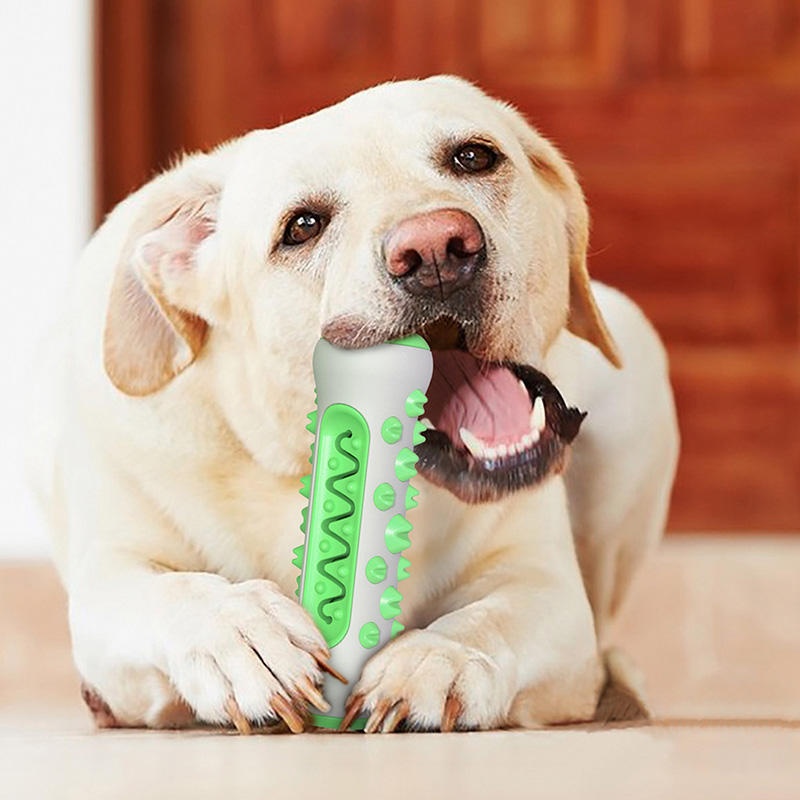 Juguete Masticable de TPR para - Teeth Cleaning Dog Chew Bone reseña y precio