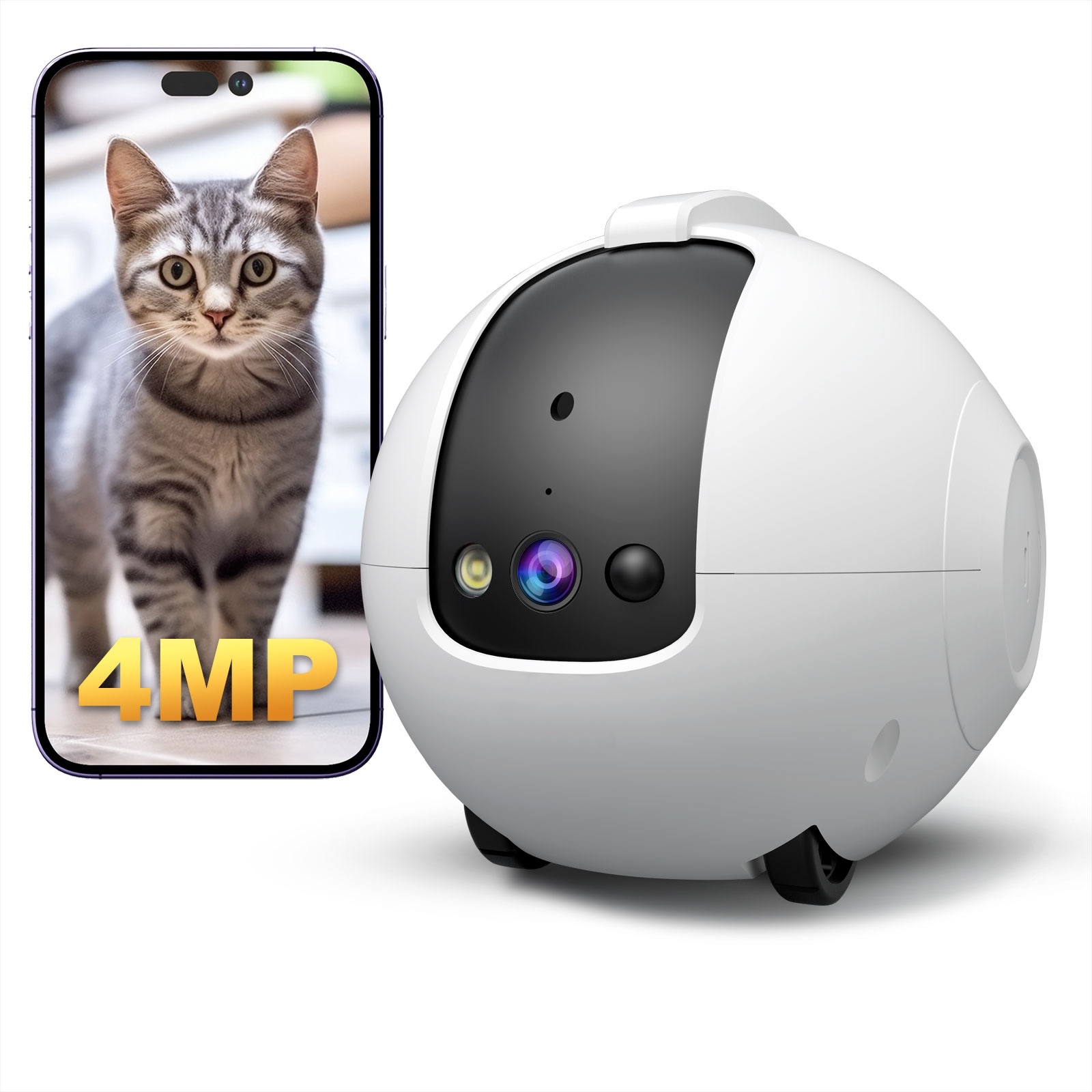 Cámara robótica para mascotas, - Cat Toys reseña y precio