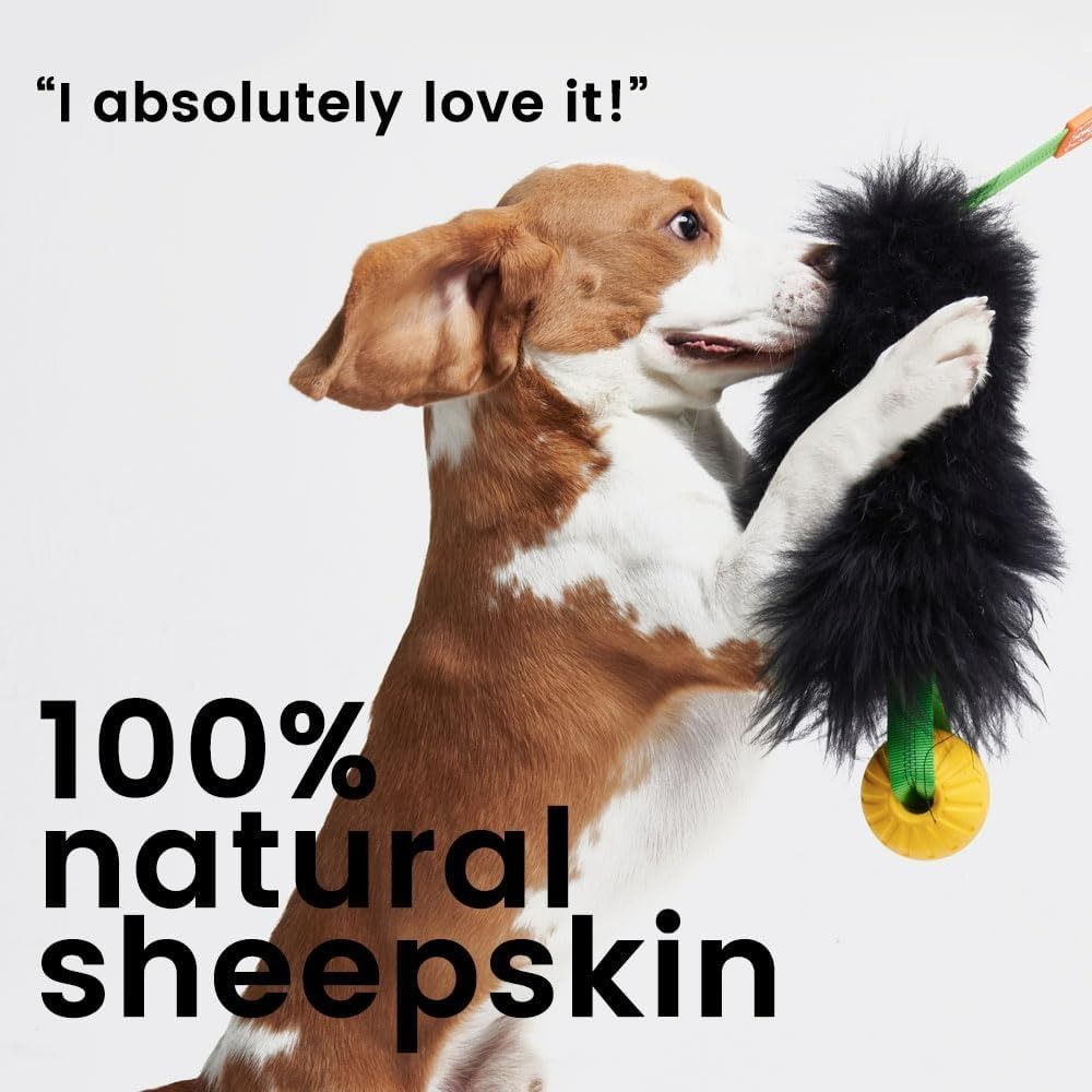Juguete interactivo de cuerda  - Indestructible Dog Chew Toy reseña y precio