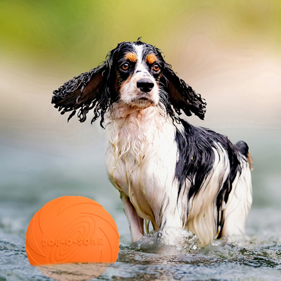 Disco Volador para Perros Gran - Flying Disc Dog Training Toy reseña y precio