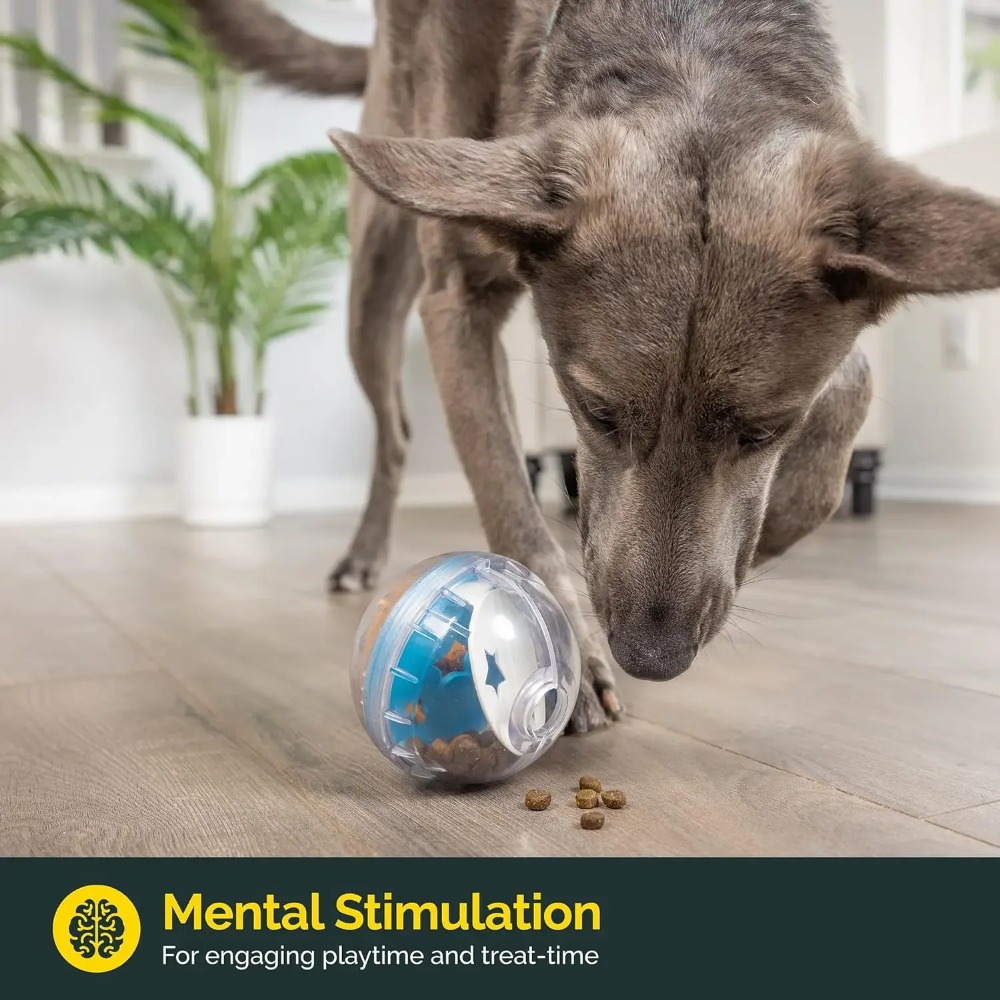 IQ Treat Ball - Dispensador de - Dog Puzzle Feeder Toy reseña y precio