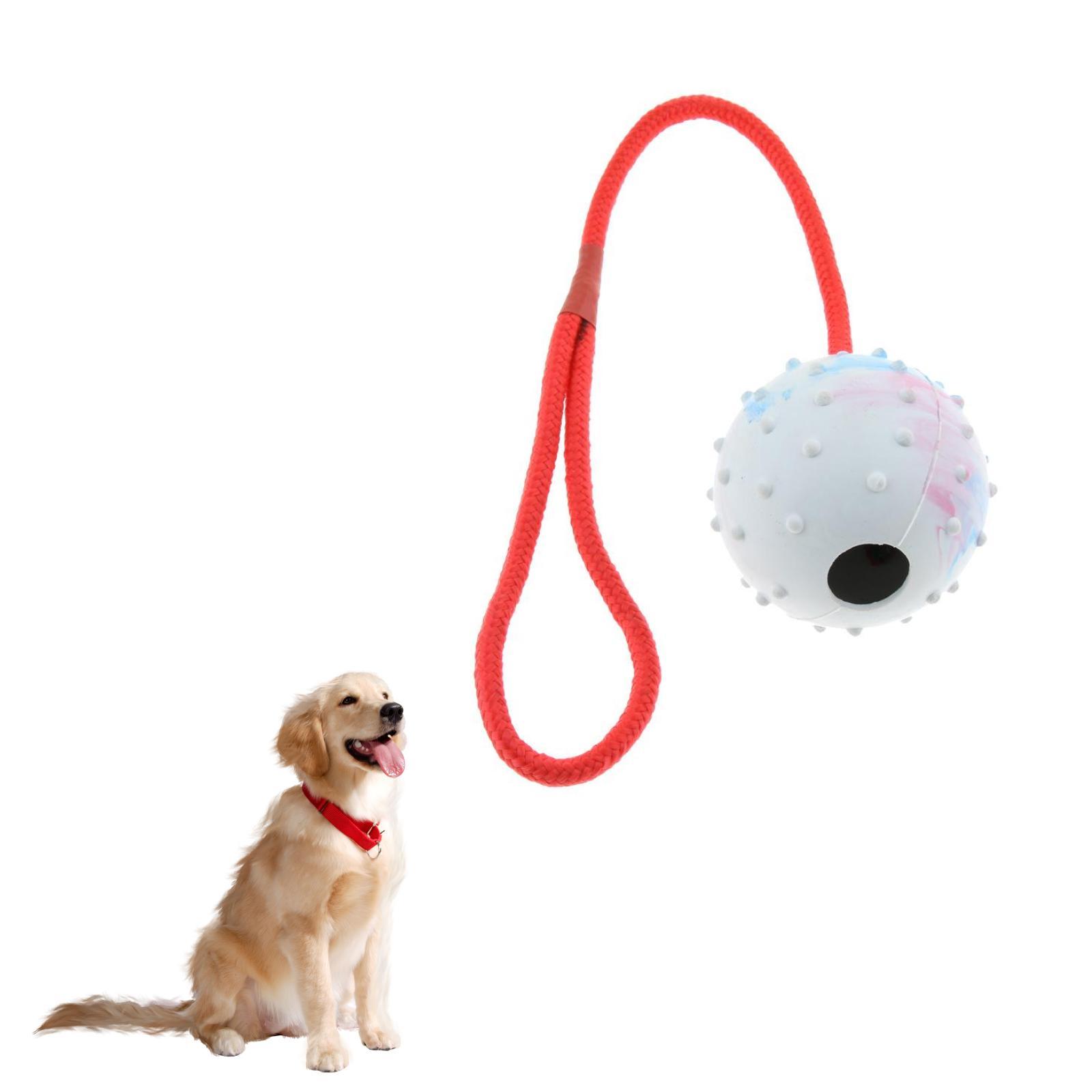 Juguete de Entrenamiento para  - Rubber Treat Dispensing Dog Toy reseña y precio